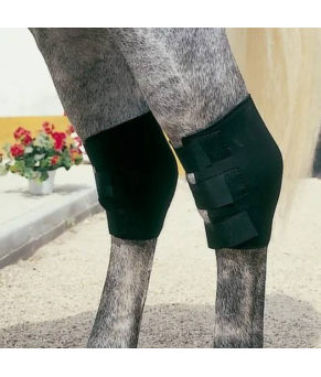 Protector Neopreno TF Corvejón TN-1506 Negro