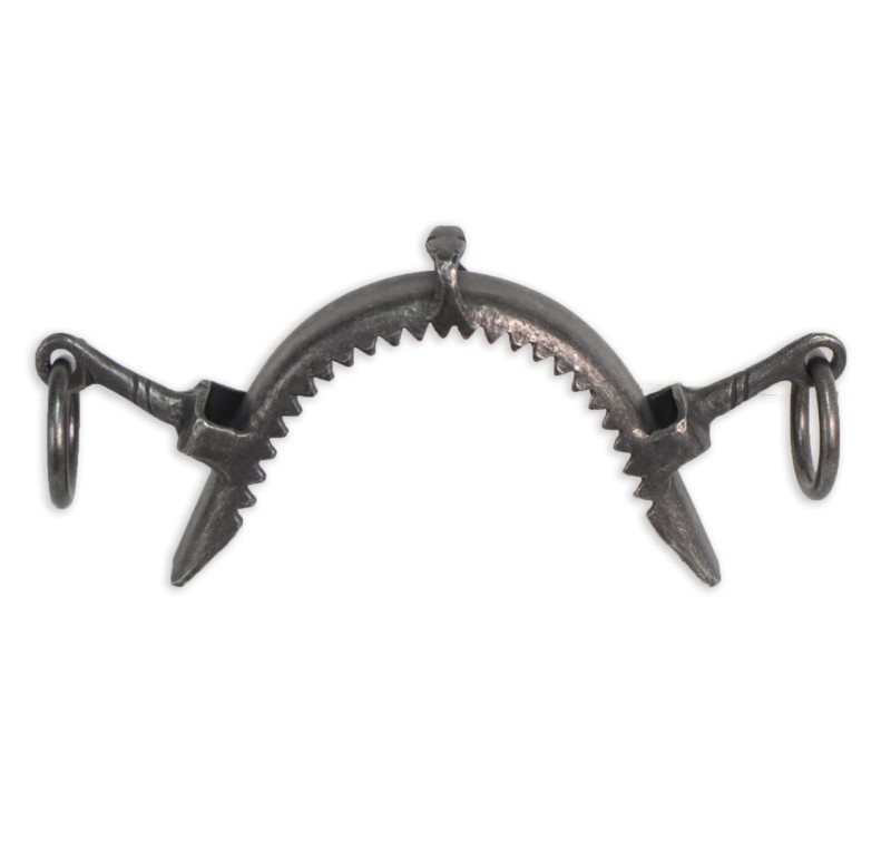 Muserola fragua 'Los Nietos Dressage' | Pilares cortos