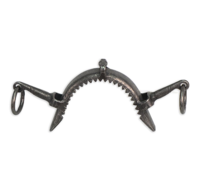 Muserola fragua 'Los Nietos Dressage' | Pilares medianos