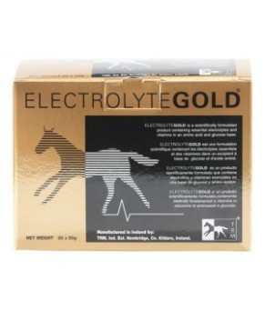 Electrolitos Electrolyte Gold | 30x50 gr