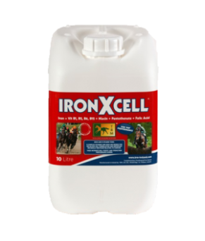 Ironxcell | 10 litros