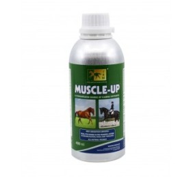 Muscle up | 450 ml
