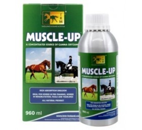 Muscle up | 960 ml