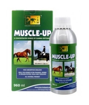 Muscle up | 960 ml