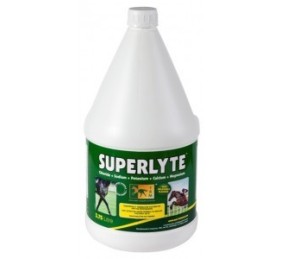 Superlyte syrup | 3.75 L