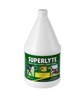 Superlyte syrup | 3.75 L