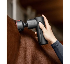 Masajeador Pro W-Health & Care frío y calor