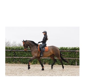 Mantilla de doma Anky