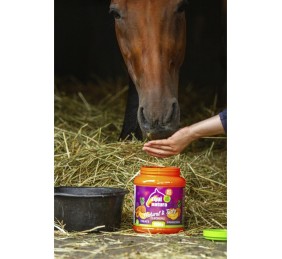 Golosinas naturales para caballo | Papaya, plátano y piña