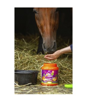 Golosinas naturales para caballo | Papaya, plátano y piña