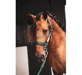 Cabezada cuadra nylon extra "Los Nietos Dressage" | Varios colores