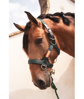 Cabezada cuadra nylon extra "Los Nietos Dressage" | Varios colores