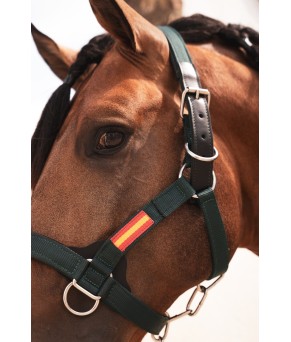 Cabezada cuadra nylon extra "Los Nietos Dressage" | Varios colores