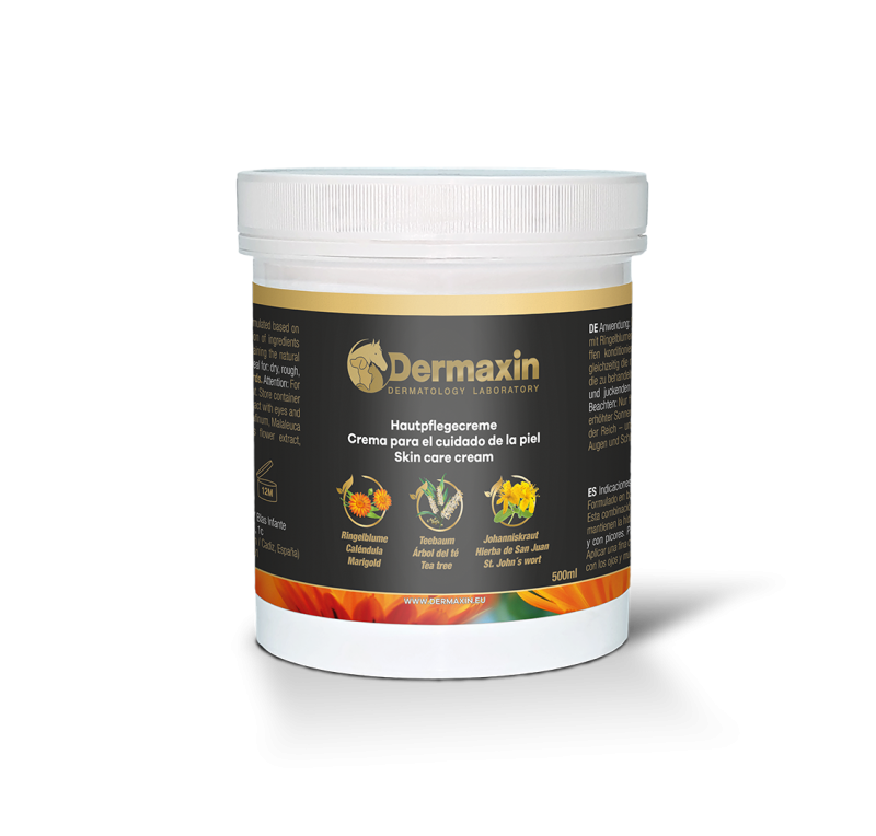 Dermaxin pomada | Varios tamaños