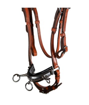 Serretón Competición 'Los Nietos' | Ahogadero y adaptador de filete