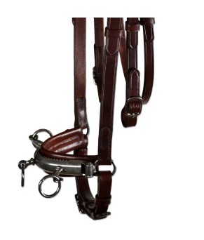 Serretón Competición 'Los Nietos' | Ahogadero y adaptador de filete