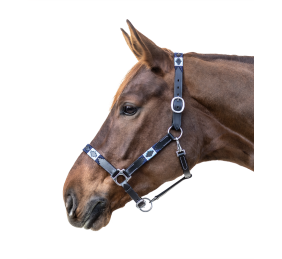 Cabezada de cuero Polo