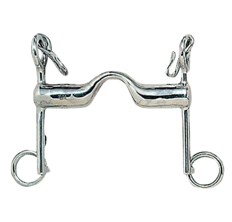 Bocado de doma inoxidable hueco