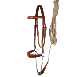 Cabezada de presentación Los Nietos Pavonado