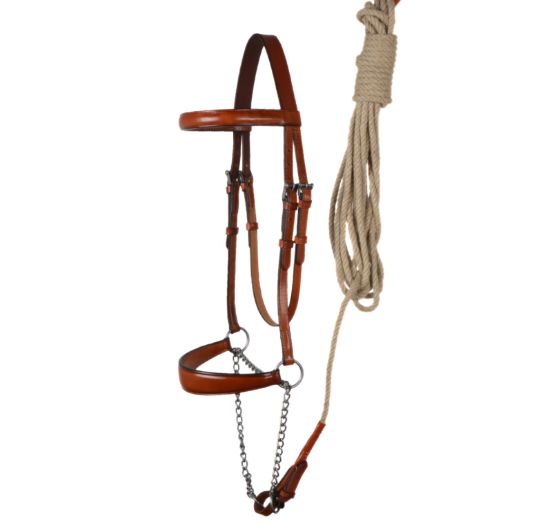 Cabezada de presentación Los Nietos Pavonado