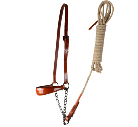 Cabezada de presentación Los Nietos Pavonado