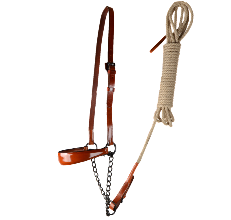 Cabezada de presentación Los Nietos Pavonado