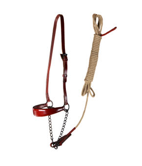 Cabezada de presentación Los Nietos Pavonado