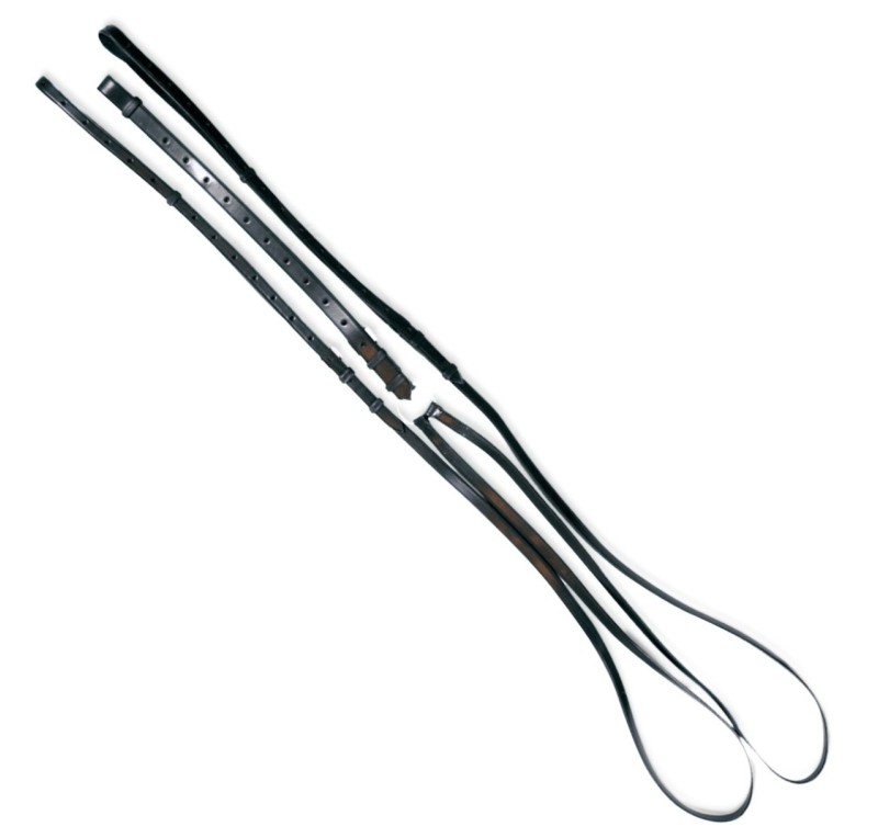 Riendas Fillis de  Waldhausen | Simples