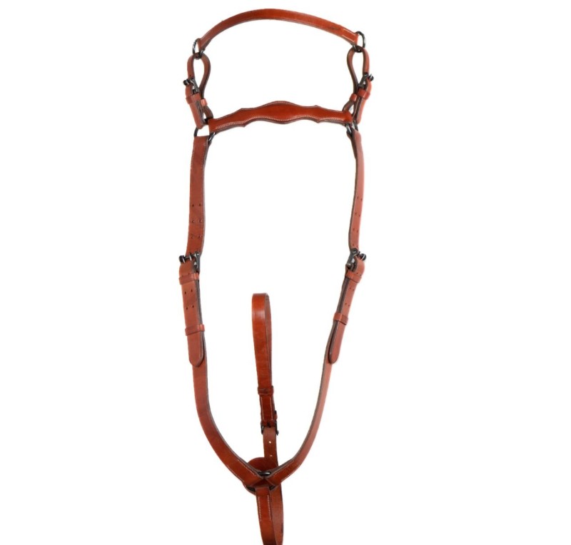 Pechopetral 'Los Nietos' | Hebillas pavonadas