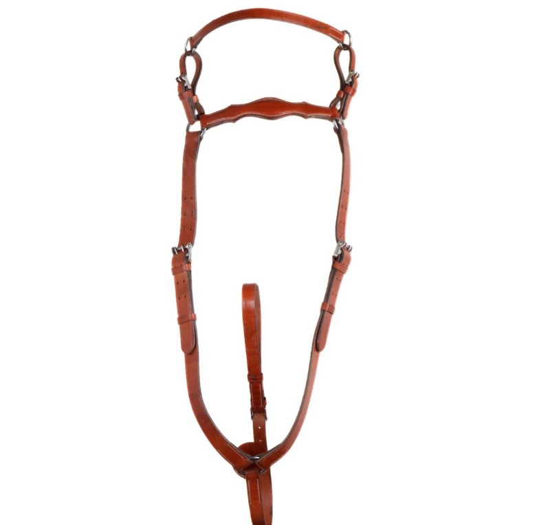 Pechopetral 'Los Nietos' | Hebillas acero inoxidable