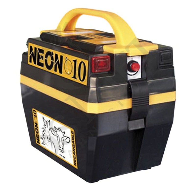 Pastor Neon 10 recargable | PA102