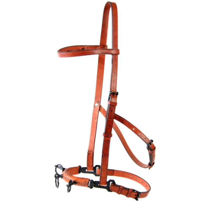 Serretón hebilla pavonada | Tres pilares