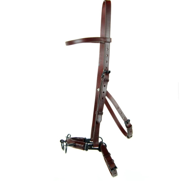 Serretón hebilla pavonada | Tres pilares