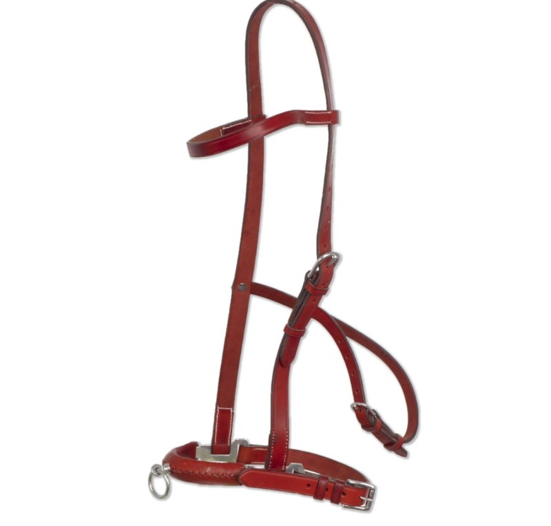 Serretón hebilla inoxidable brillo | Un pilar