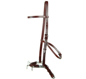 Serretón hebilla inoxidable brillo | Tres pilares