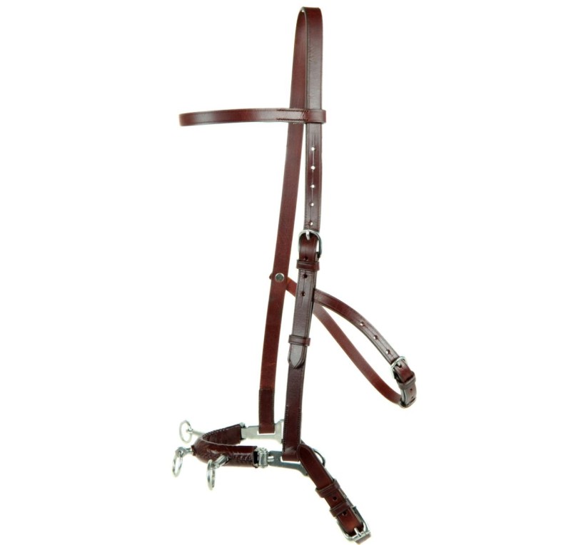 Serretón hebilla inoxidable brillo | Tres pilares