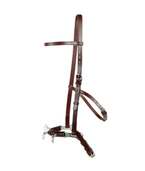 Serretón hebilla inoxidable brillo | Tres pilares