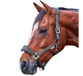 Cabezada de cuadra Alcántara