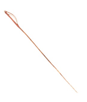 Vara amazona acebuche 'Los Nietos'