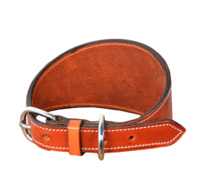 Collar de galgo personalizado Guarnicionería Los Nietos