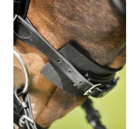 Acolchado para brida