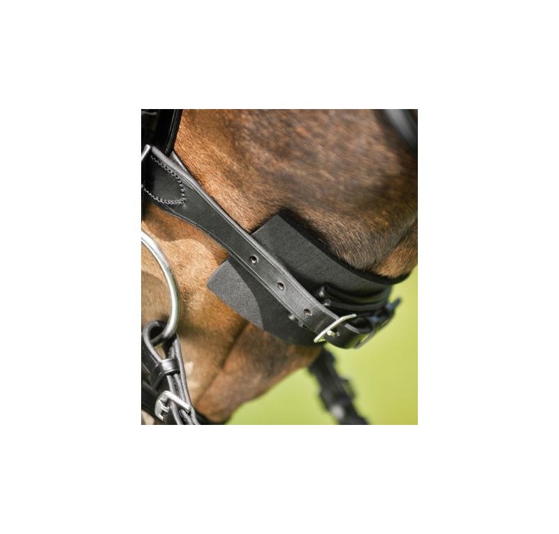 Acolchado para brida