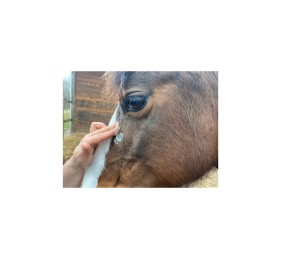 Crema Animaderm Derfen™ transparente