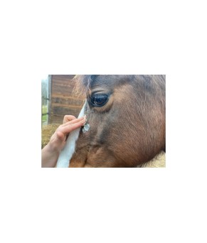 Crema Animaderm Derfen™ transparente