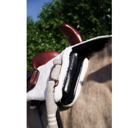 Silla de montar amazonas 'Los Nietos' | Modelo 'Centenaria' | Moteada Avellana