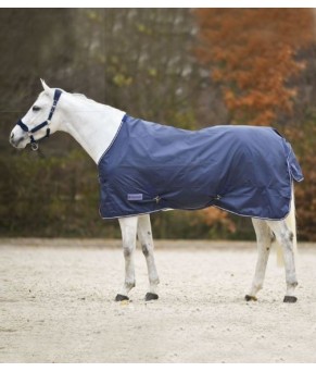 MANTA PARA LLUVIA -ECONOMIC-