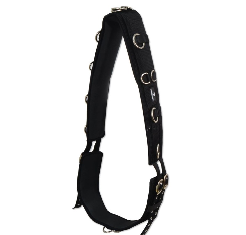 Cinchuelo de doma 'Los Nietos Dressage'