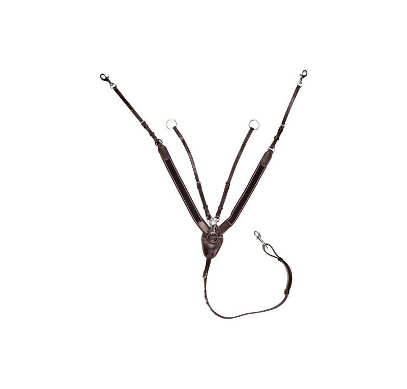 Pechopetral con martingala con goma ancho