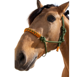 Cabezada de cuerda H3 | Adornos hilo | Varios colores