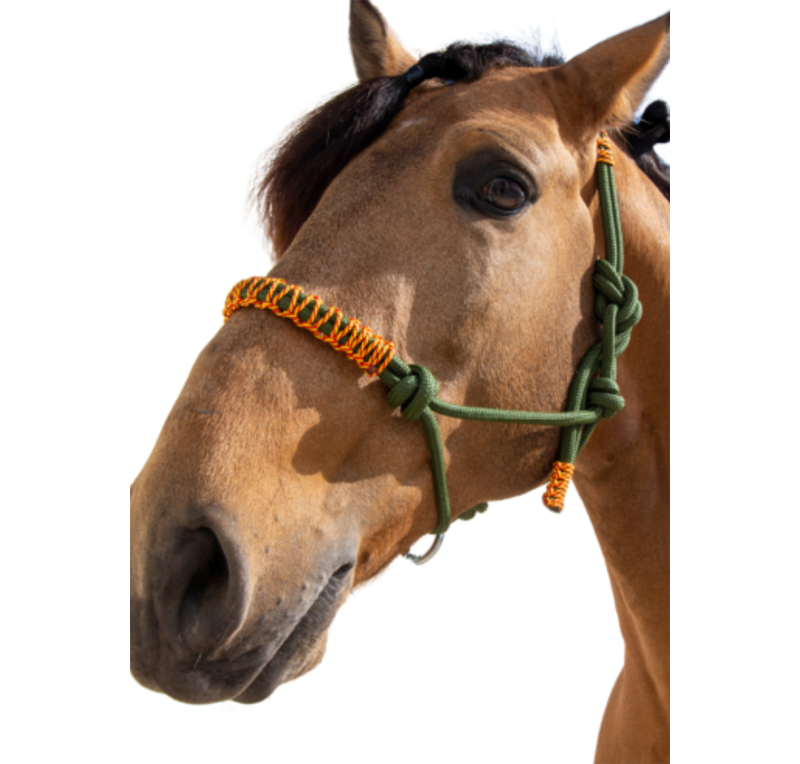 Cabezada de cuerda H3 | Adornos hilo | Varios colores